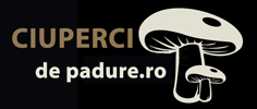 Ciuperci de padure Logo